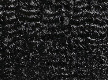 Curly