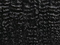 Curly Mink Bundle
