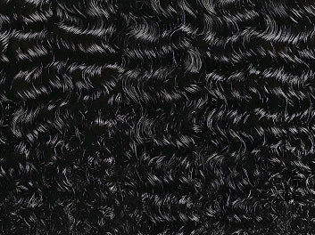 Curly Mink Bundle
